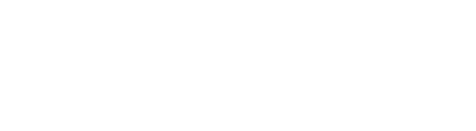 TOP LEVEL Hip-Hop x Rap Festival
